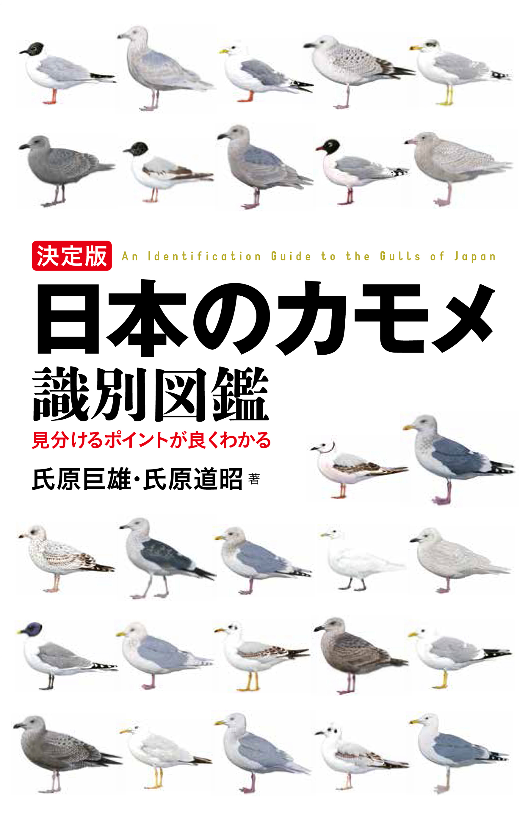 決定版　日本のカモメ識別図鑑の商品画像