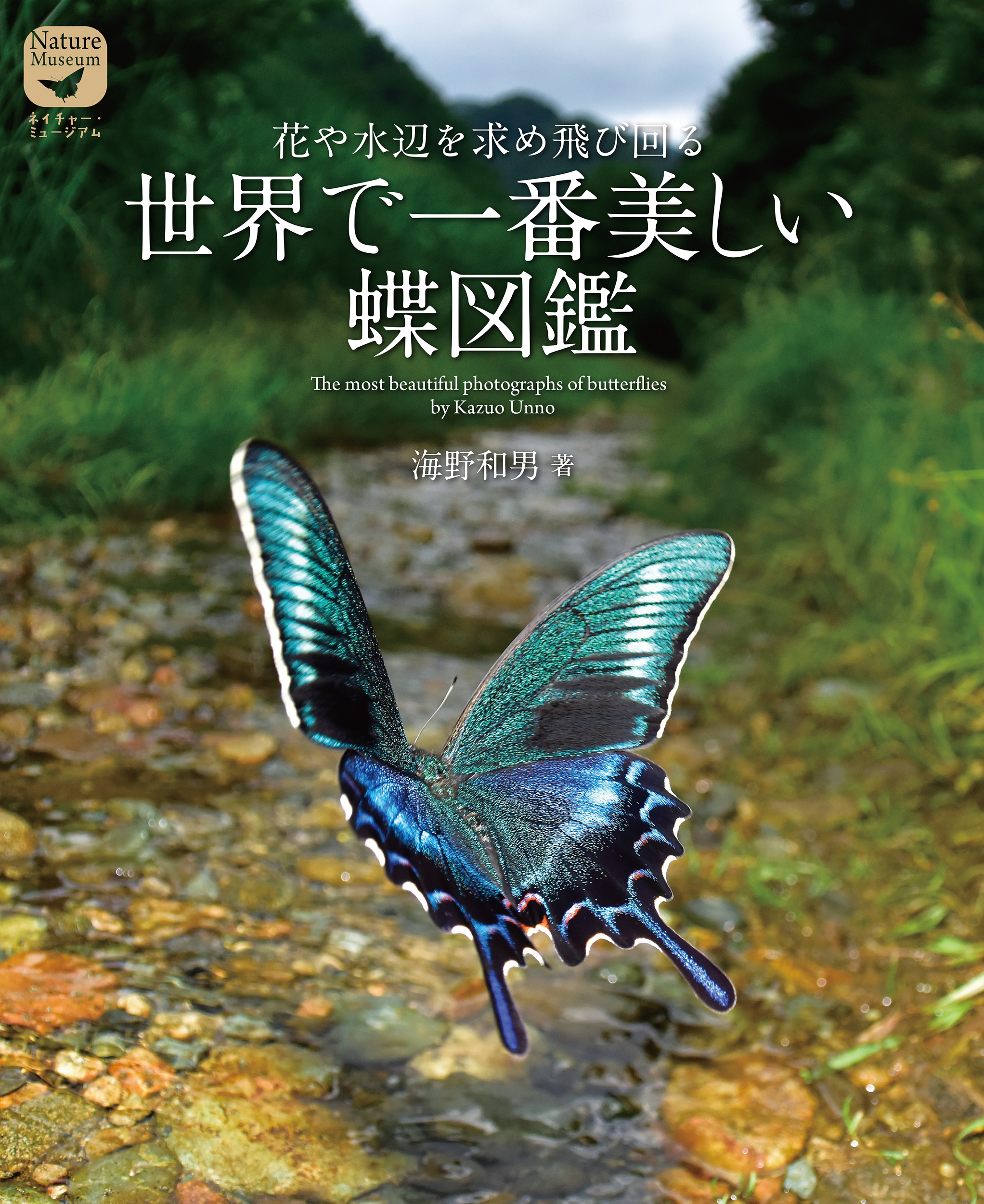 世界で一番美しい蝶図鑑の商品画像