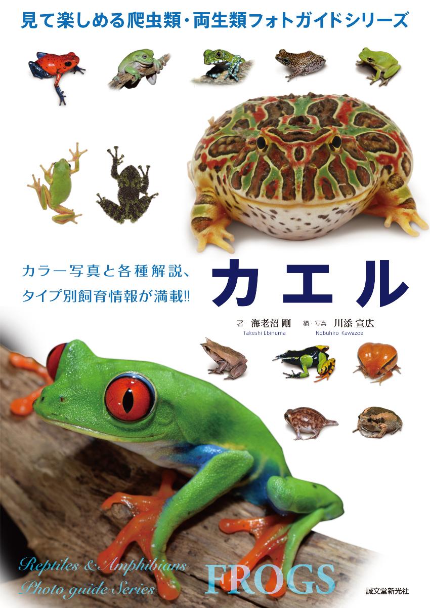 カエルの商品画像