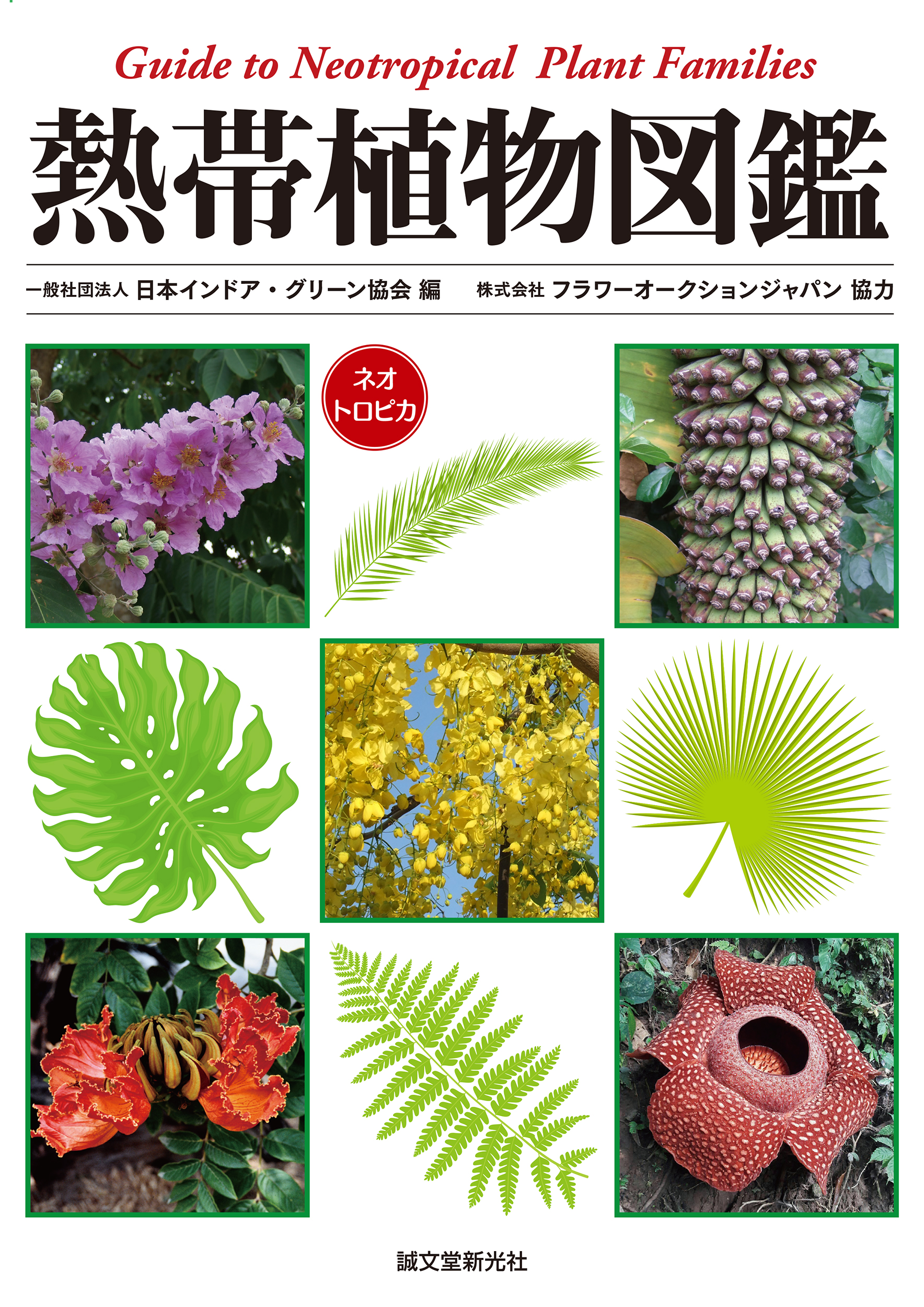 熱帯植物図鑑の商品画像