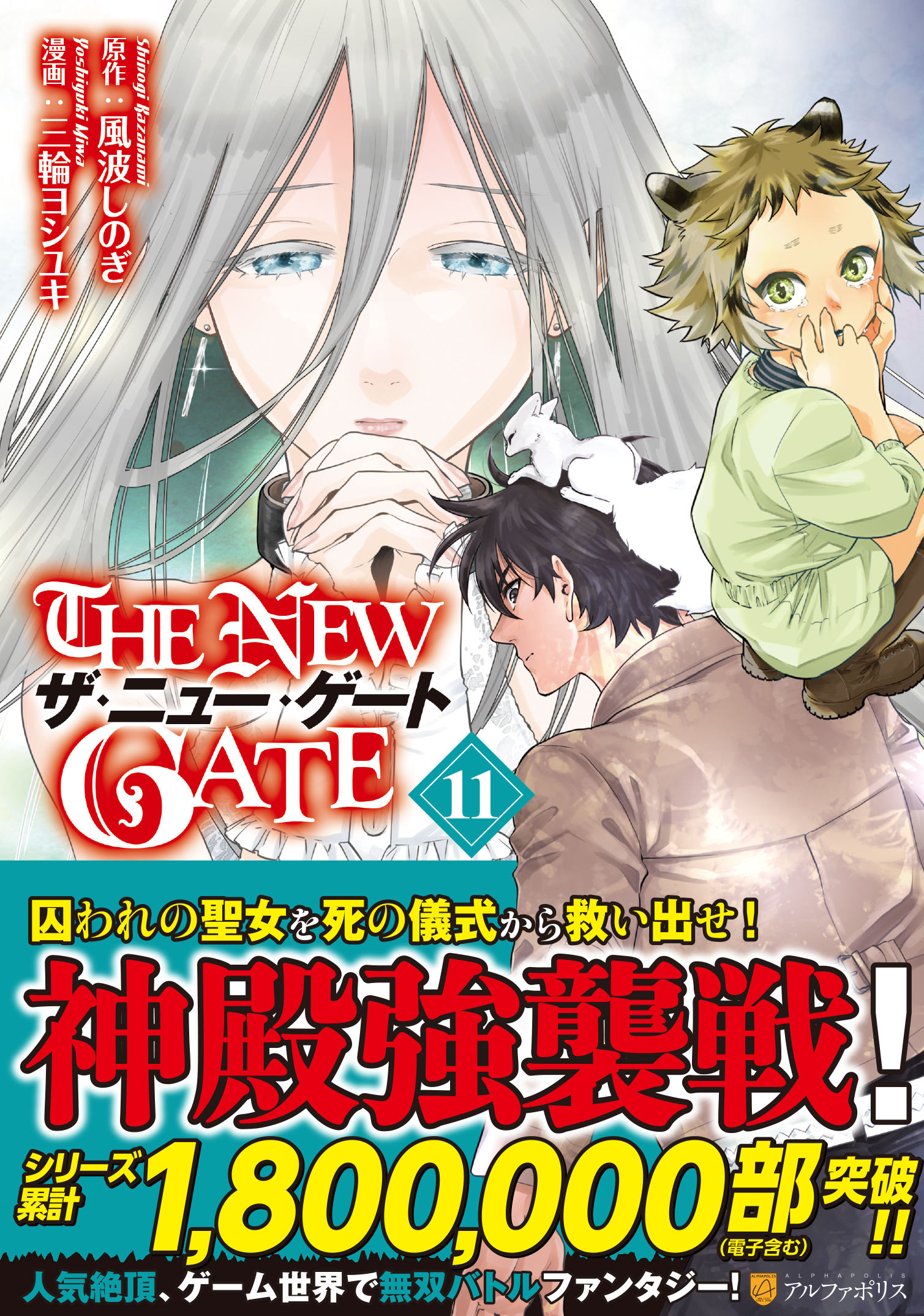 THE NEW GATE １１の商品画像