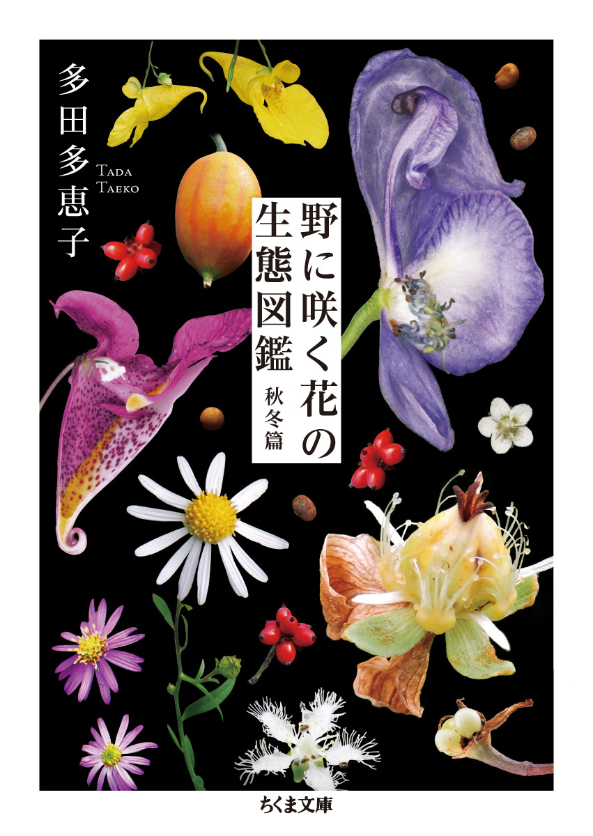 野に咲く花の生態図鑑【秋冬篇】の商品画像