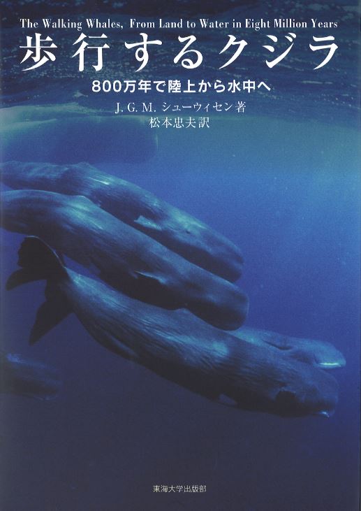 歩行するクジラの商品画像