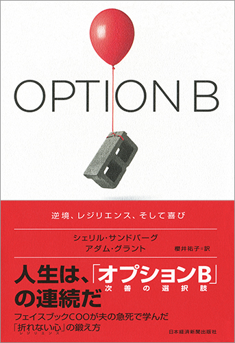 Option B（オプションB）の商品画像