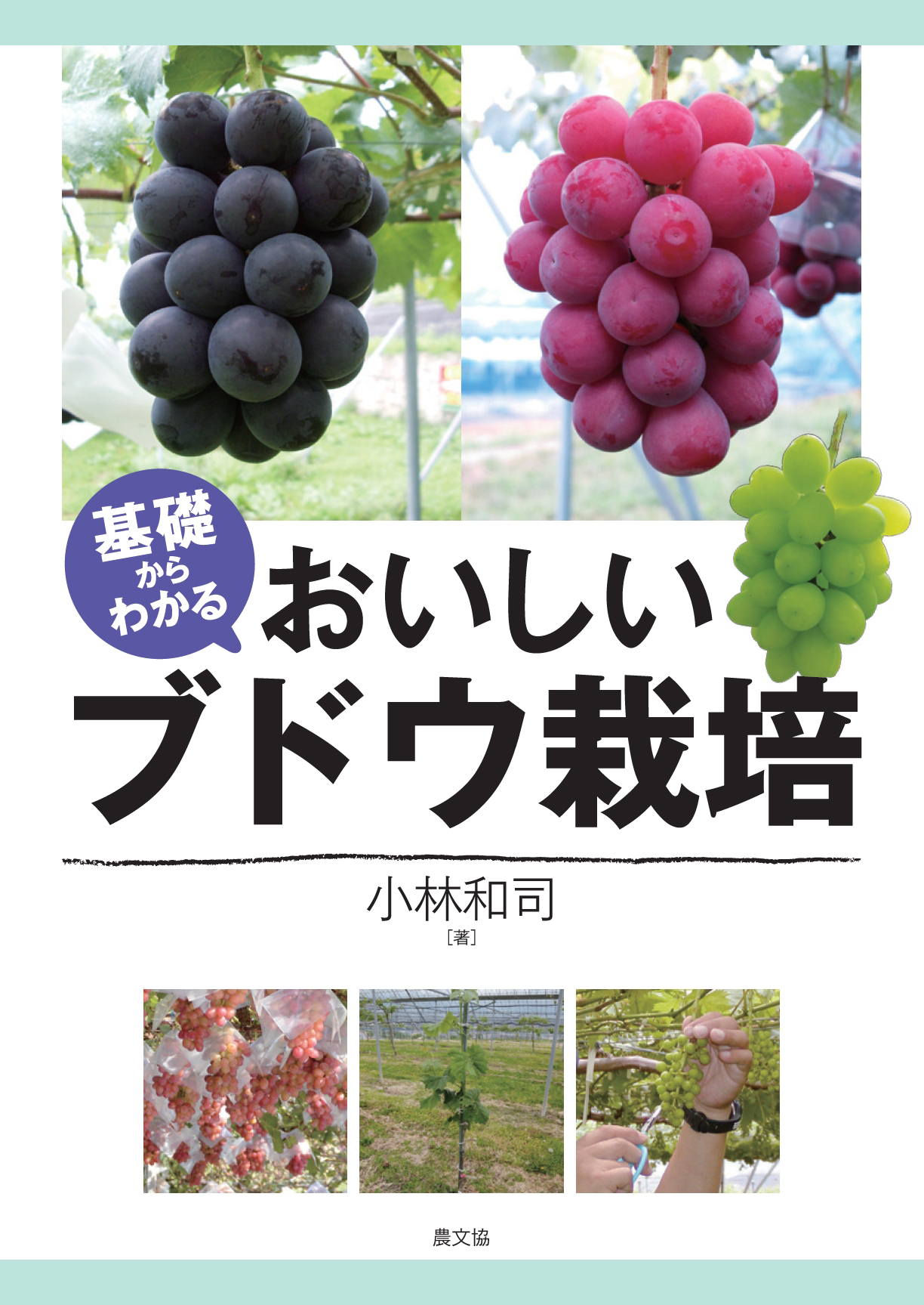 基礎からわかる　おいしいブドウ栽培の商品画像