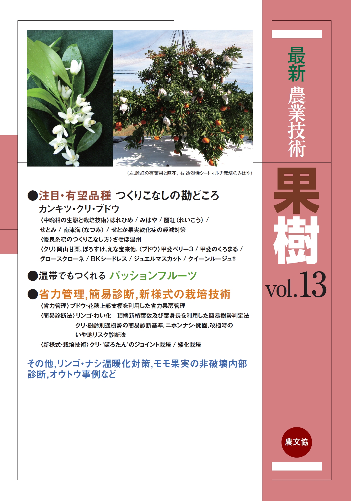最新農業技術　果樹vol.13の商品画像