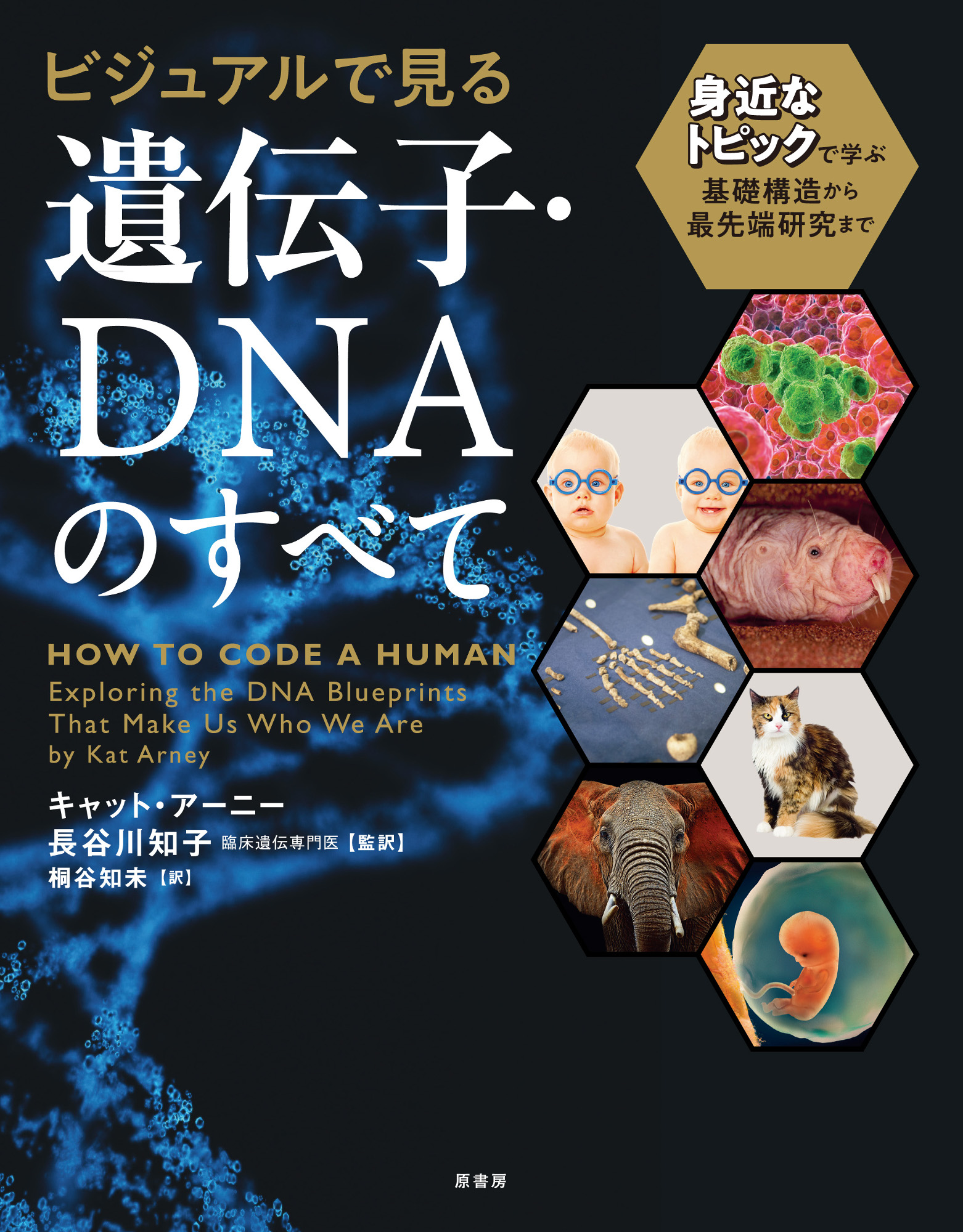 ビジュアルで見る　遺伝子・DNAのすべての商品画像
