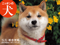 2017年カレンダー　ニッポンの犬の商品画像