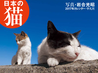 2017年カレンダー　日本の猫の商品画像
