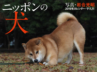 ニッポンの犬　2019年カレンダーの商品画像