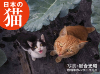 日本の猫　2019年カレンダーの商品画像