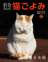 岩合さんの猫ごよみ　2019年卓上カレンダーの商品画像