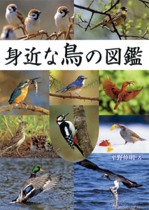 身近な鳥の図鑑の商品画像