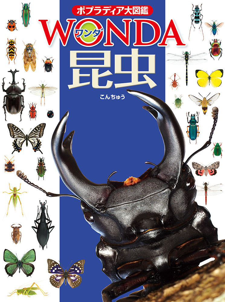 ポプラディア大図鑑WONDA　1　昆虫の商品画像