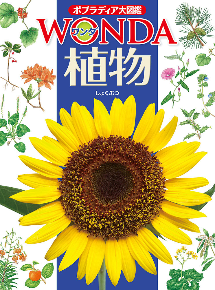 ポプラディア大図鑑WONDA　4　植物の商品画像
