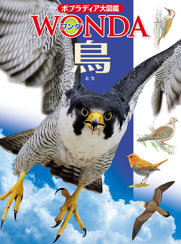 ポプラディア大図鑑WONDA　9　鳥の商品画像