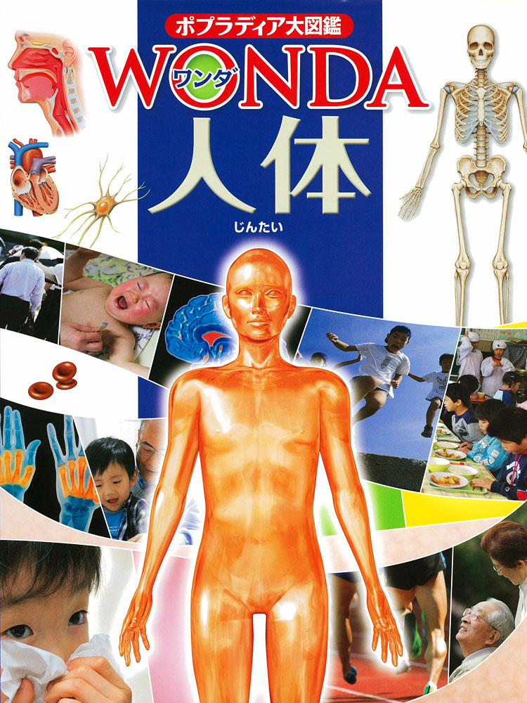 ポプラディア大図鑑WONDA　12　人体の商品画像