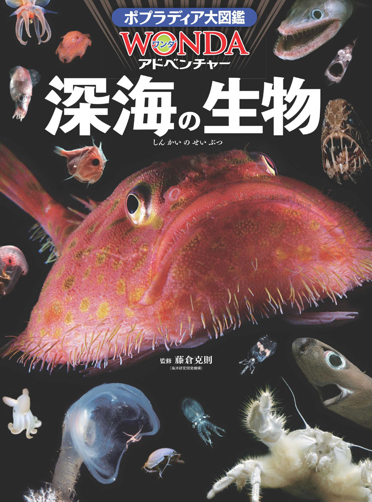 深海の生物の商品画像