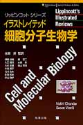 イラストレイテッド細胞分子生物学の商品画像