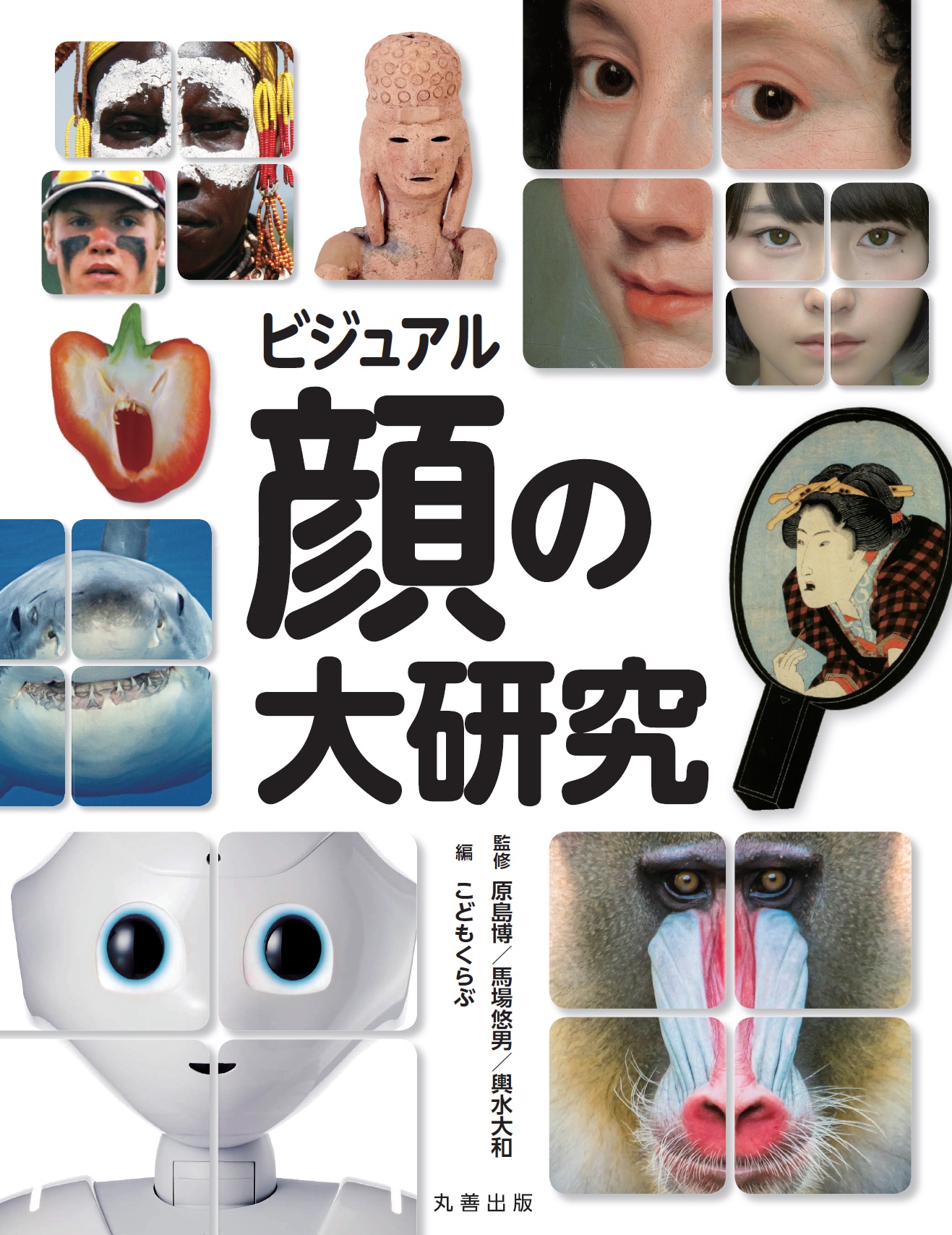 ビジュアル　顔の大研究の商品画像