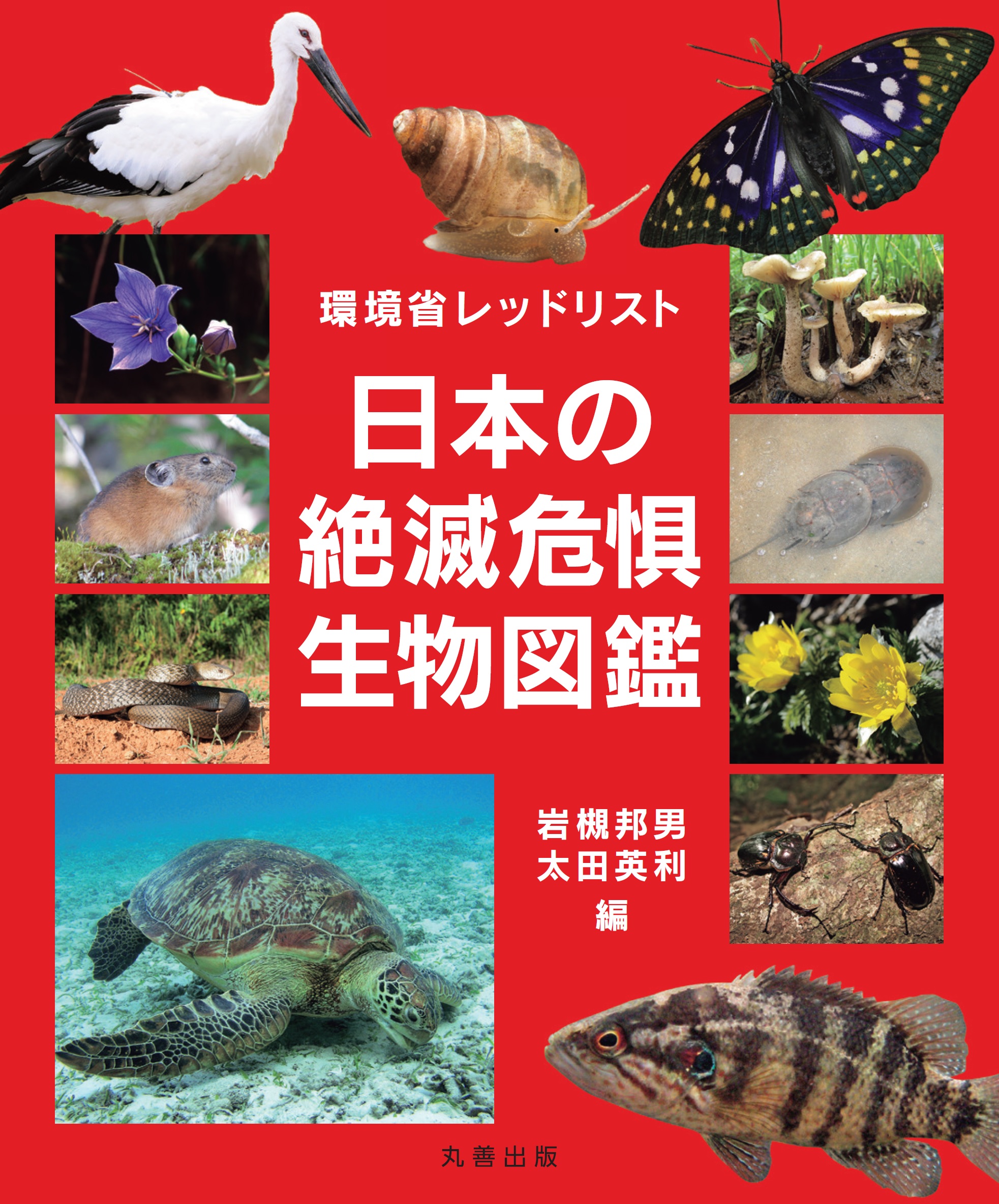 環境省レッドリスト　日本の絶滅危惧生物図鑑の商品画像