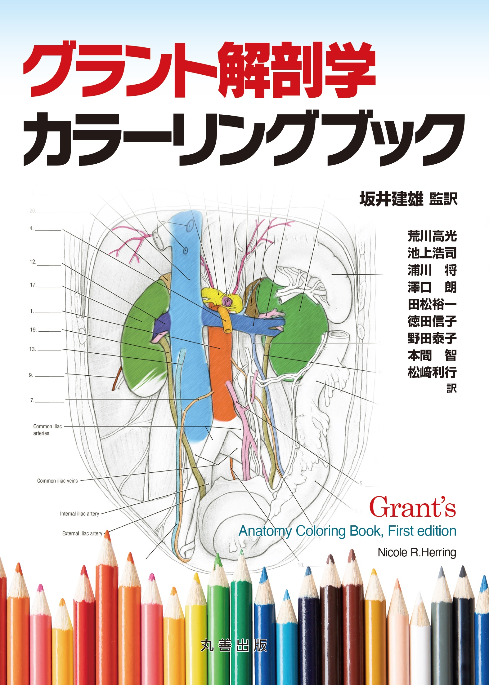 グラント解剖学カラーリングブックの商品画像