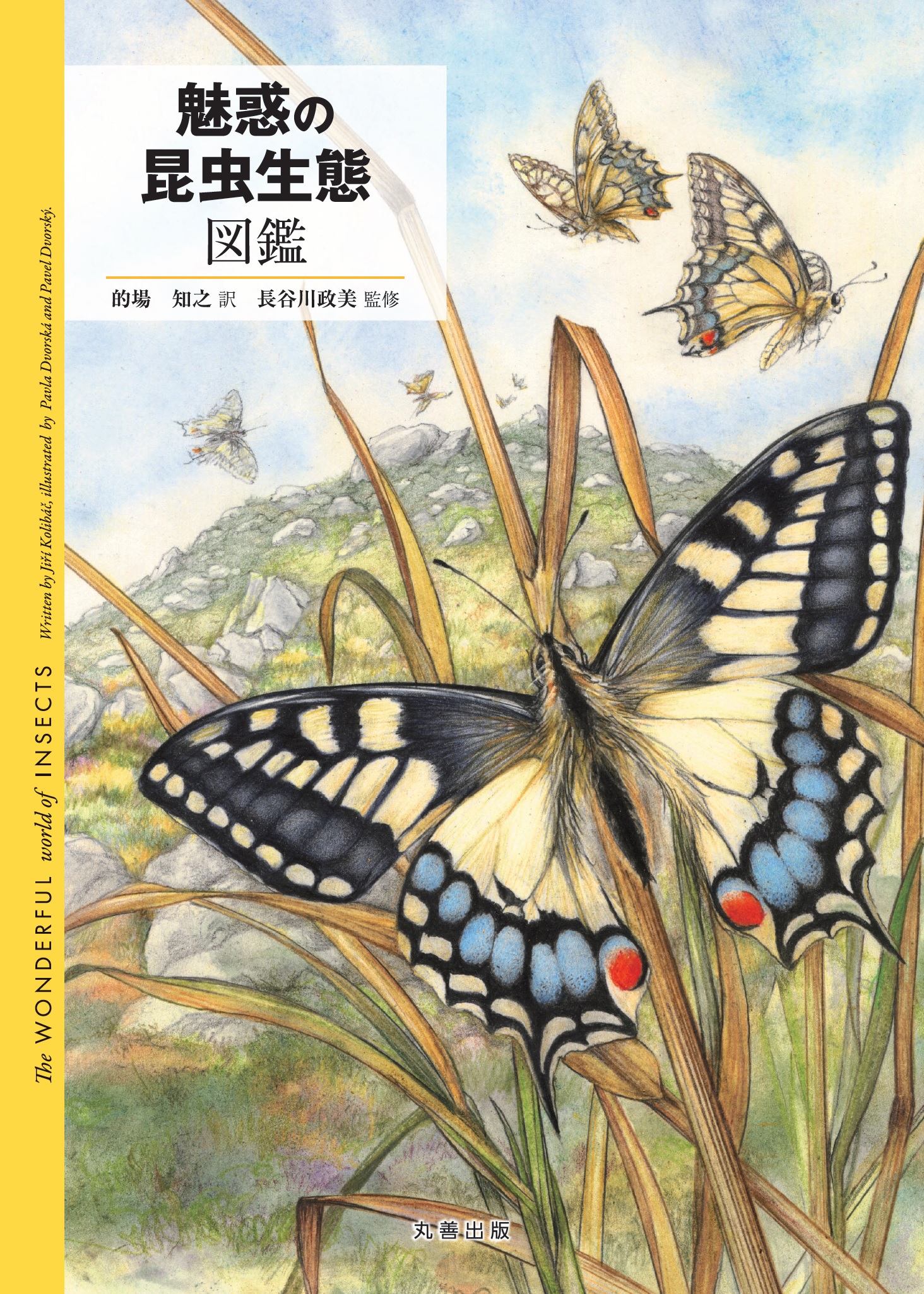 魅惑の昆虫生態図鑑の商品画像