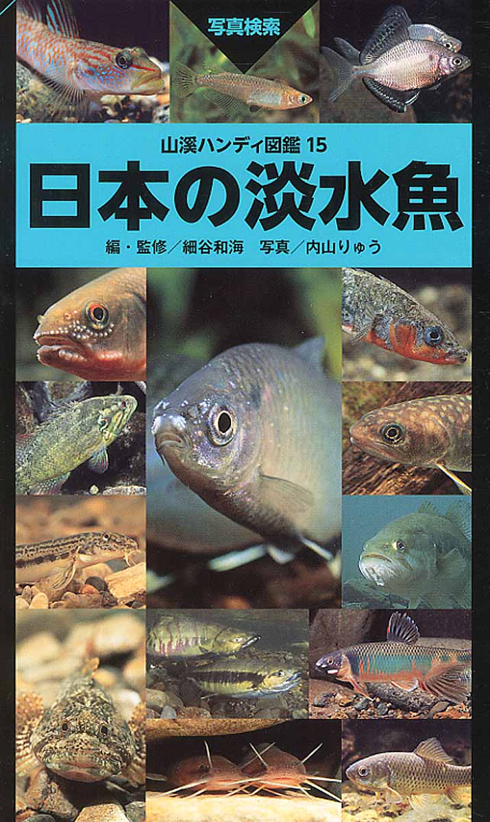 日本の淡水魚の商品画像
