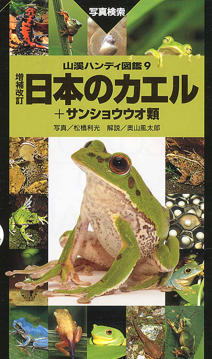 日本のカエル＋サンショウウオ類の商品画像