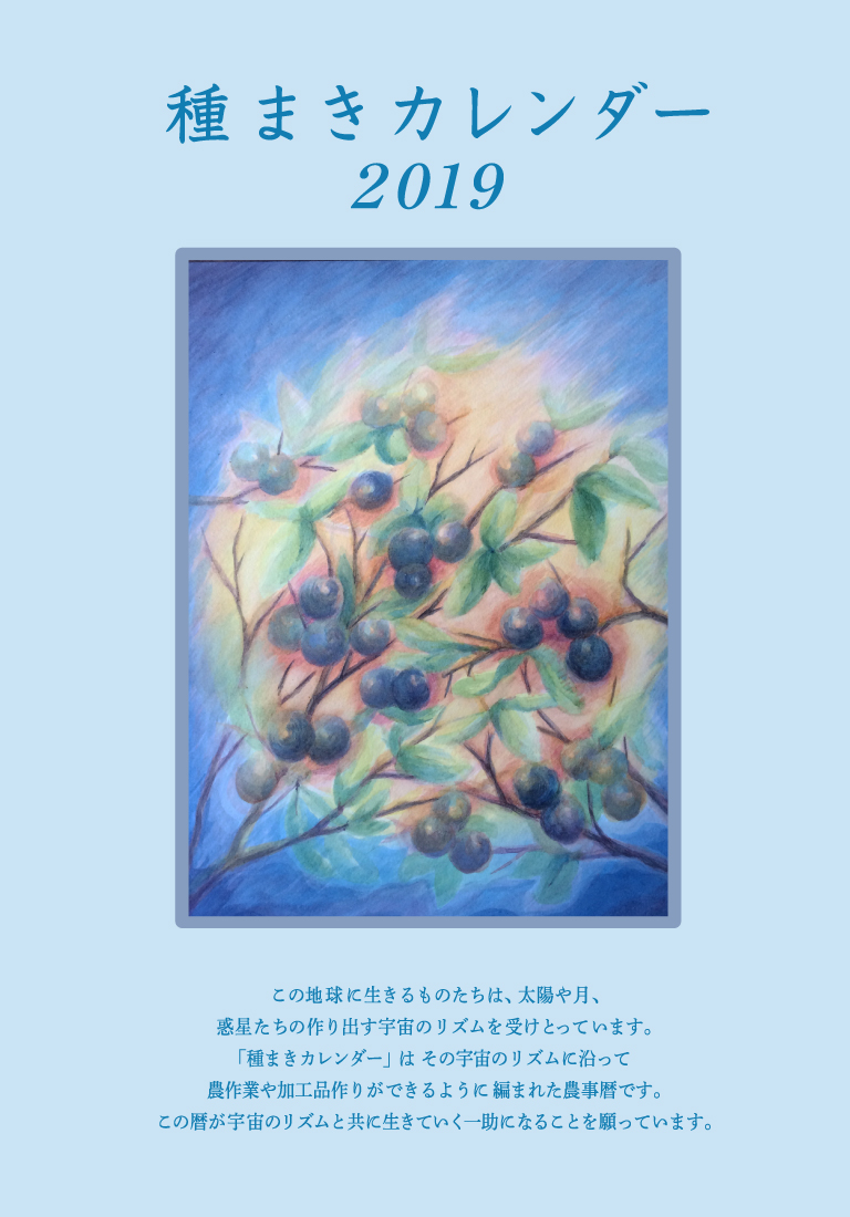 種まきカレンダー　2019の商品画像