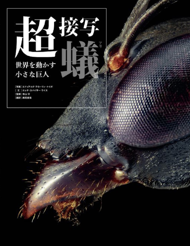 超接写　蟻の商品画像