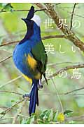 世界の美しい色の鳥の商品画像