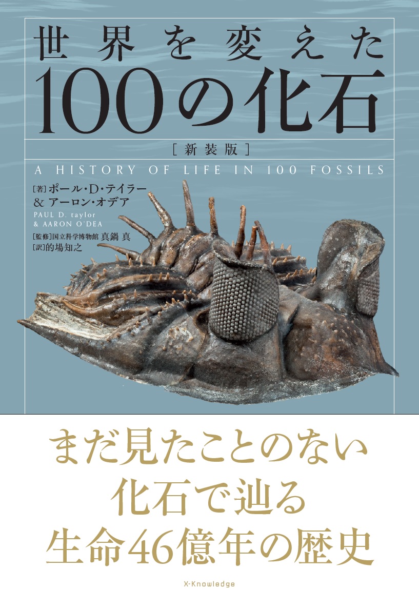 世界を変えた100の化石　新装版の商品画像
