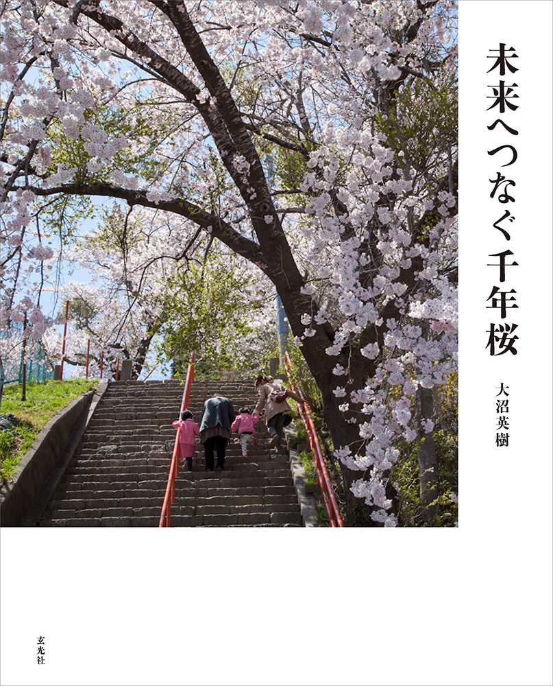 未来へつなぐ千年桜の商品画像