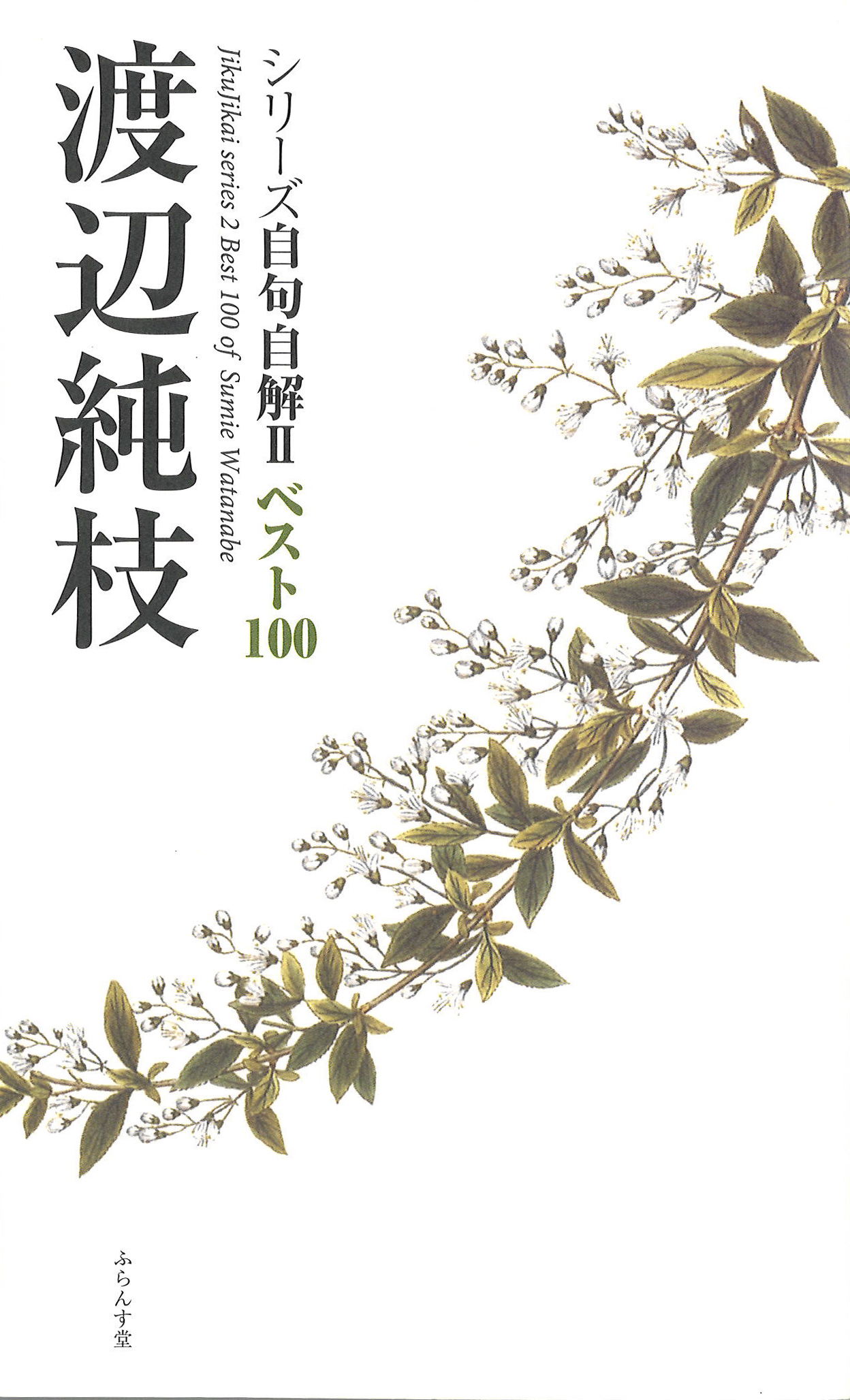 ベスト100　『渡辺純枝』の商品画像