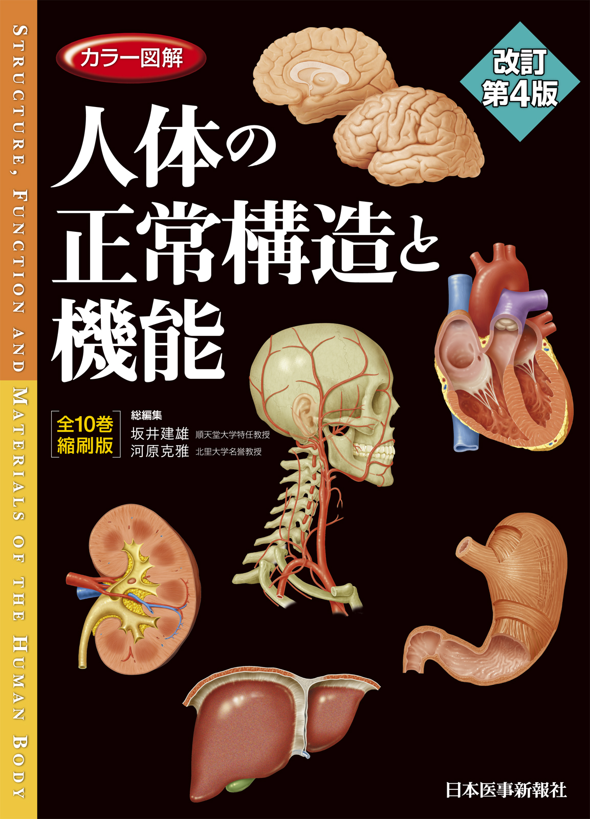 カラー図解　人体の正常構造と機能　全10巻縮刷版の商品画像