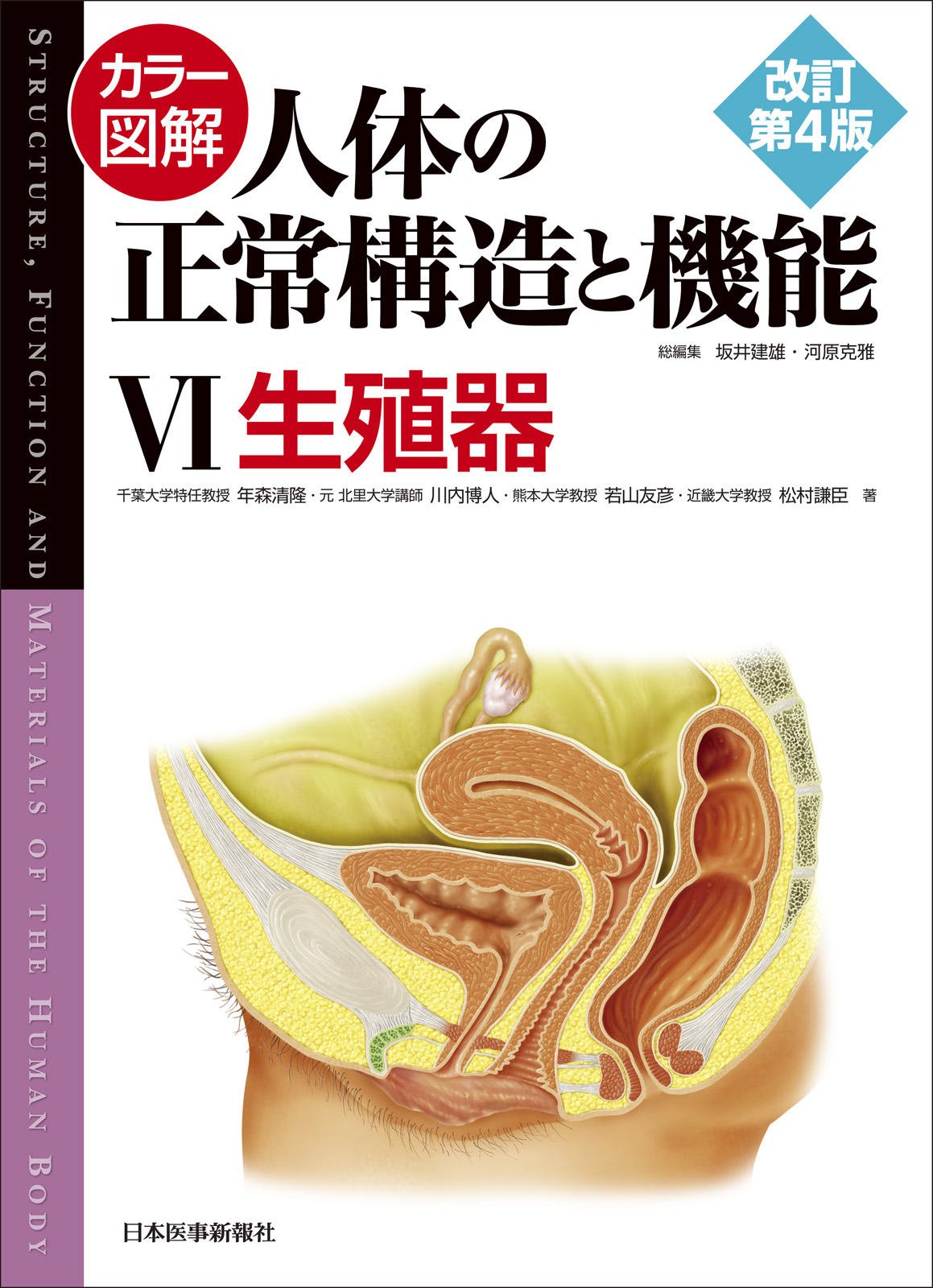 カラー図解　人体の正常構造と機能　6　生殖器の商品画像