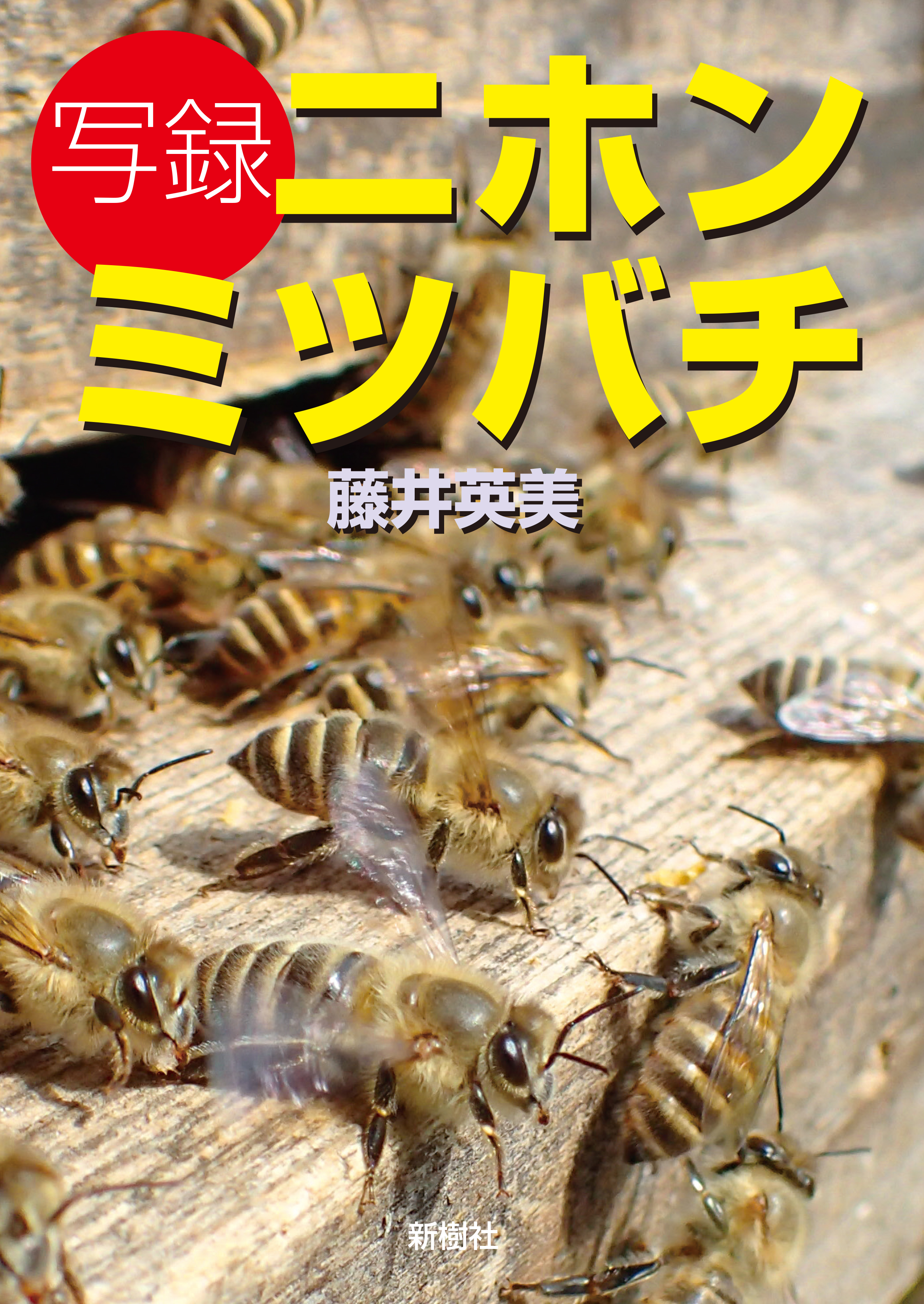 写録ニホンミツバチの商品画像