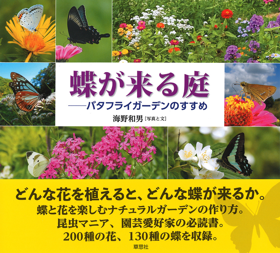 蝶が来る庭の商品画像