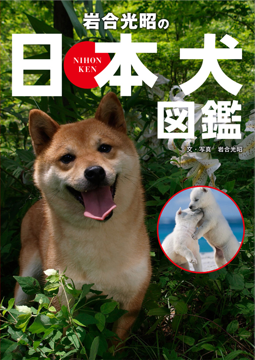 岩合光昭の日本犬図鑑の商品画像