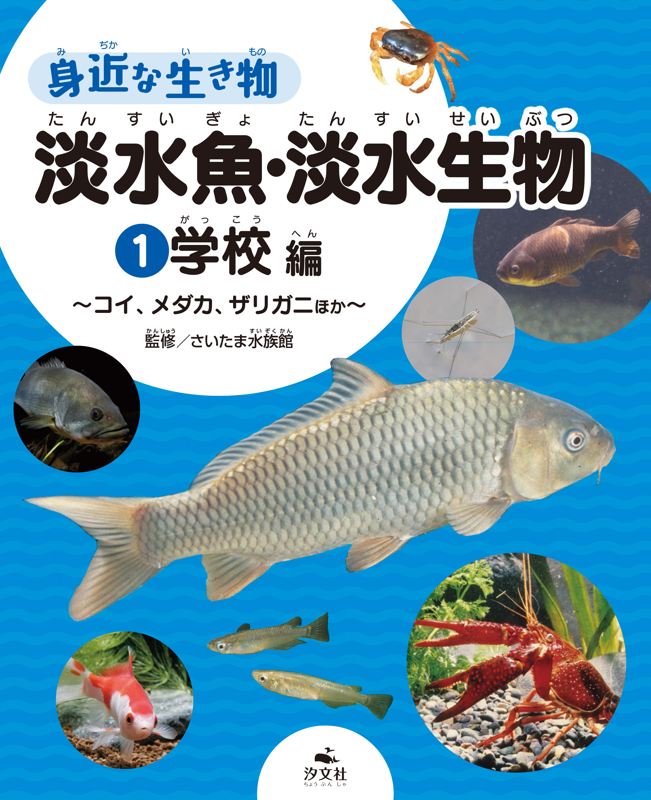 身近な生き物　淡水魚・淡水生物　1　学校編の商品画像