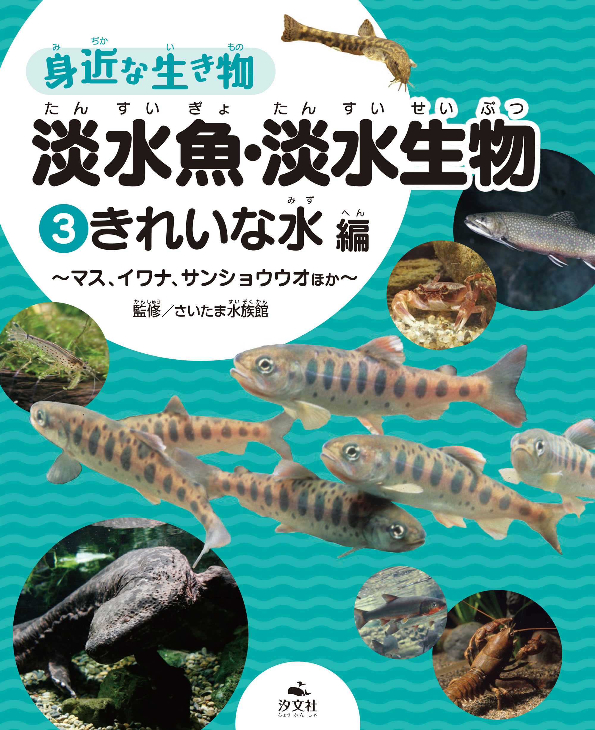 身近な生き物　淡水魚・淡水生物　3　きれいな水編の商品画像