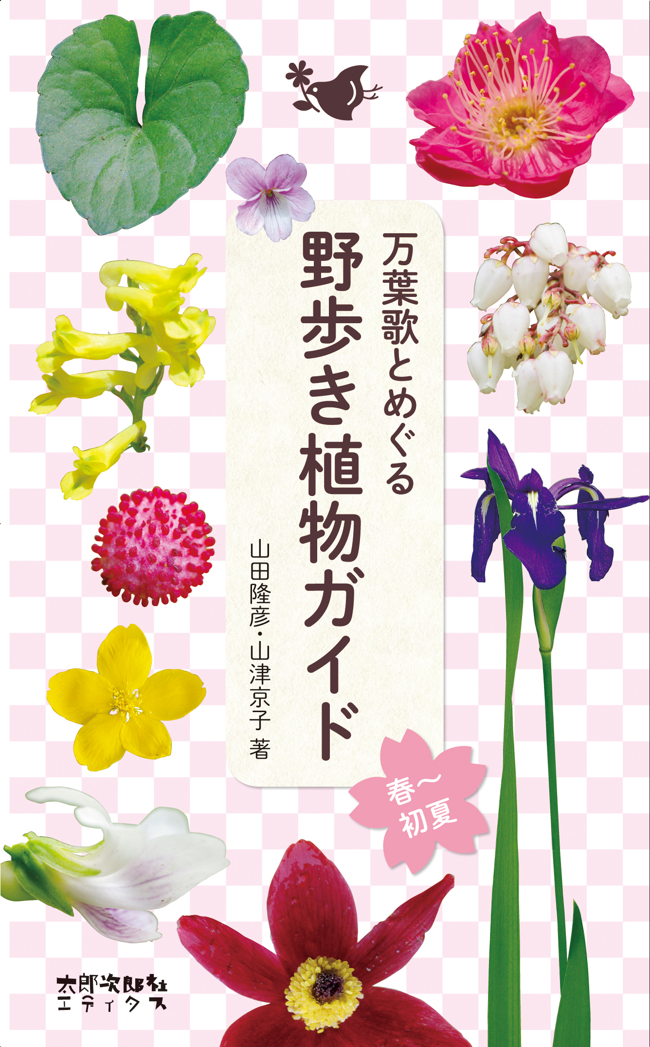 野歩き植物ガイド［春～初夏］の商品画像