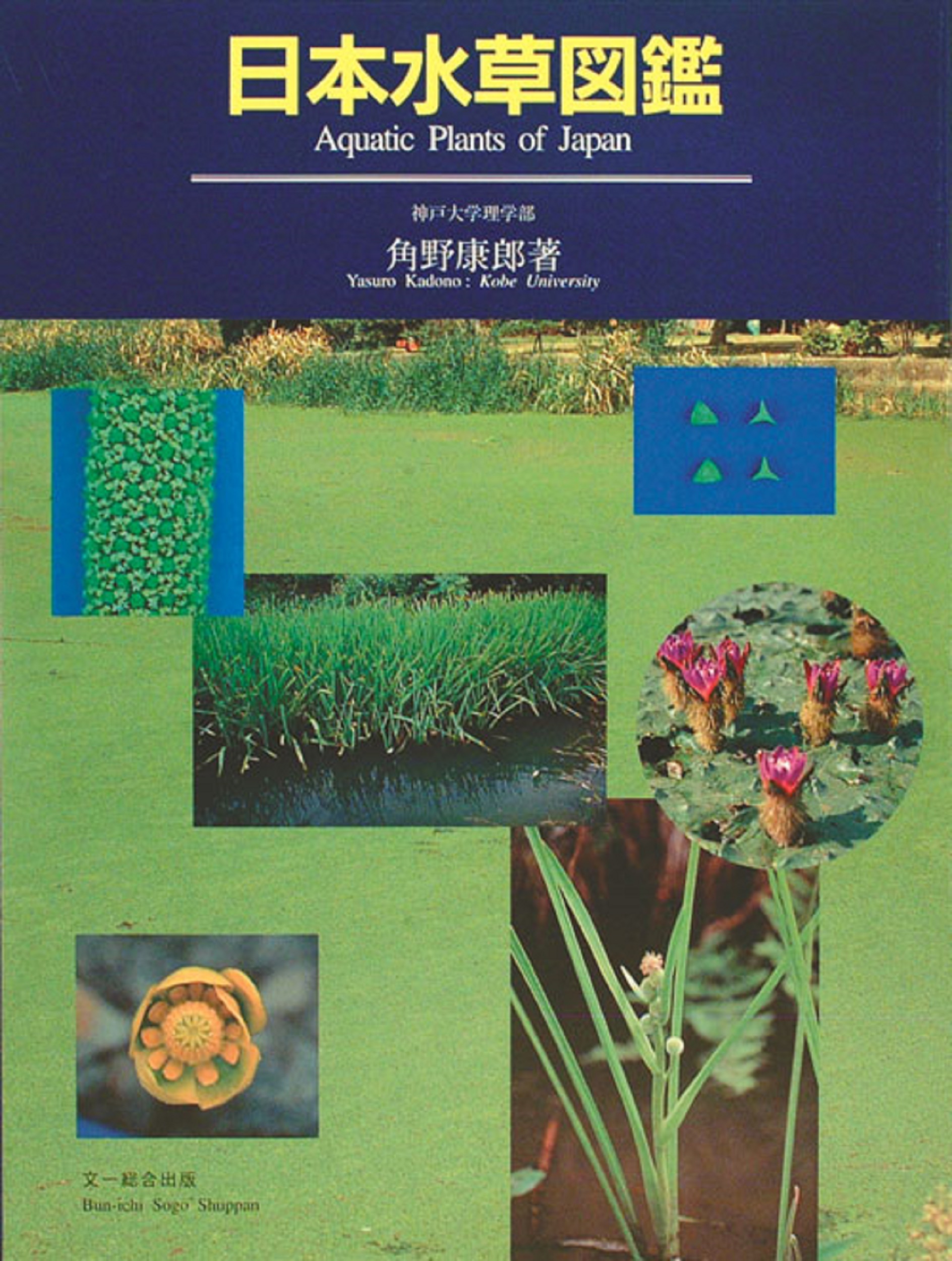 日本水草図鑑の商品画像