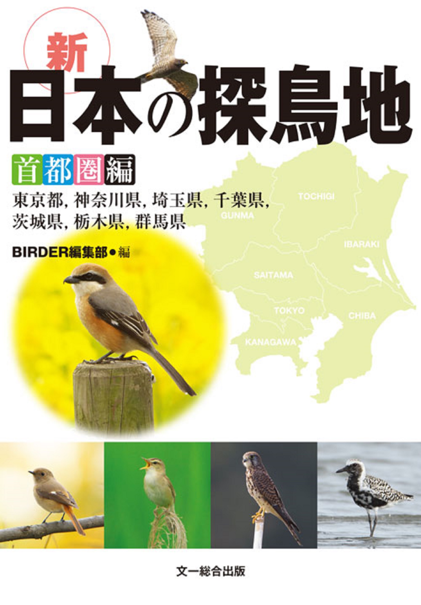 新　日本の探鳥地　首都圏編の商品画像