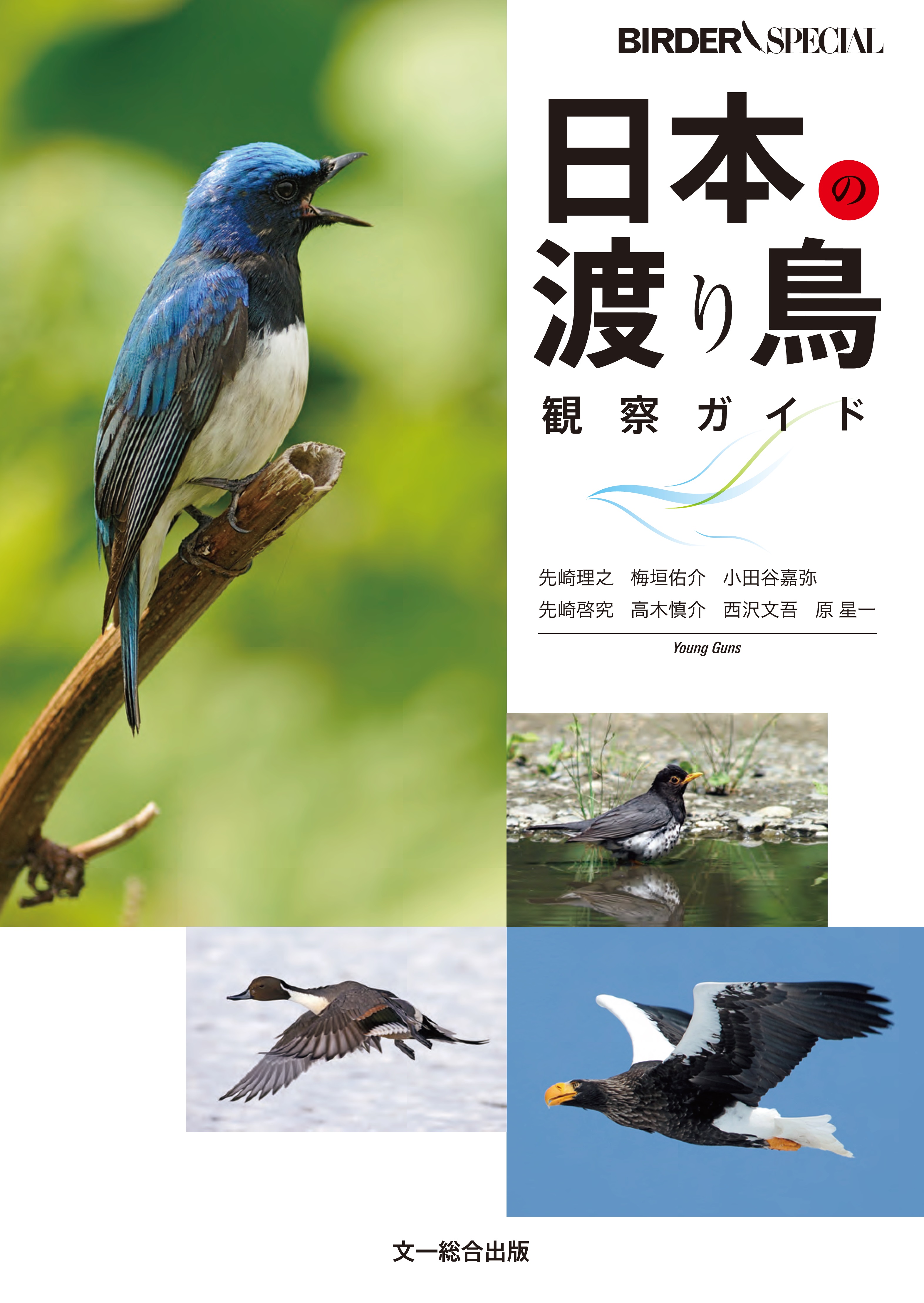日本の渡り鳥観察ガイドの商品画像