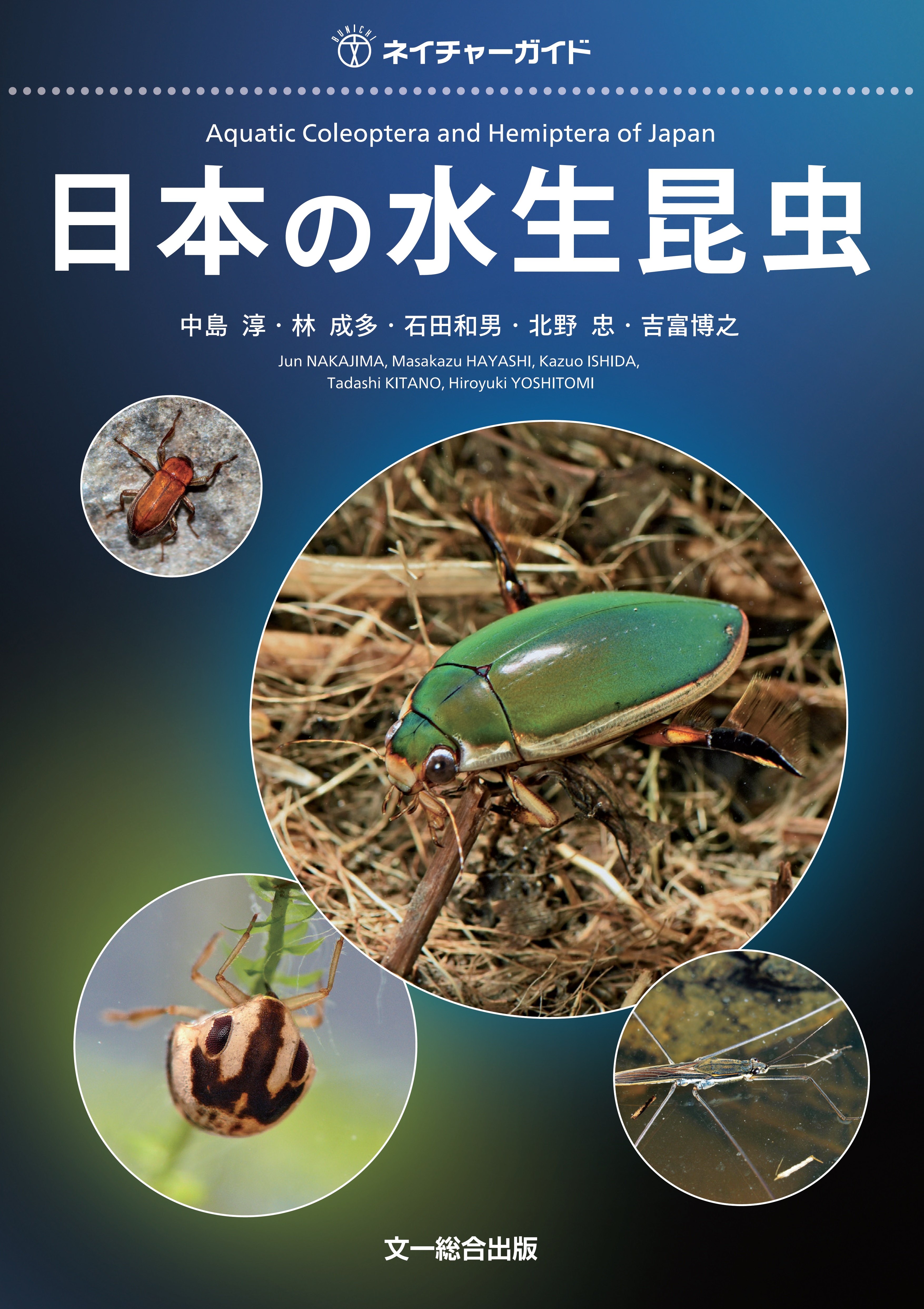 日本の水生昆虫の商品画像