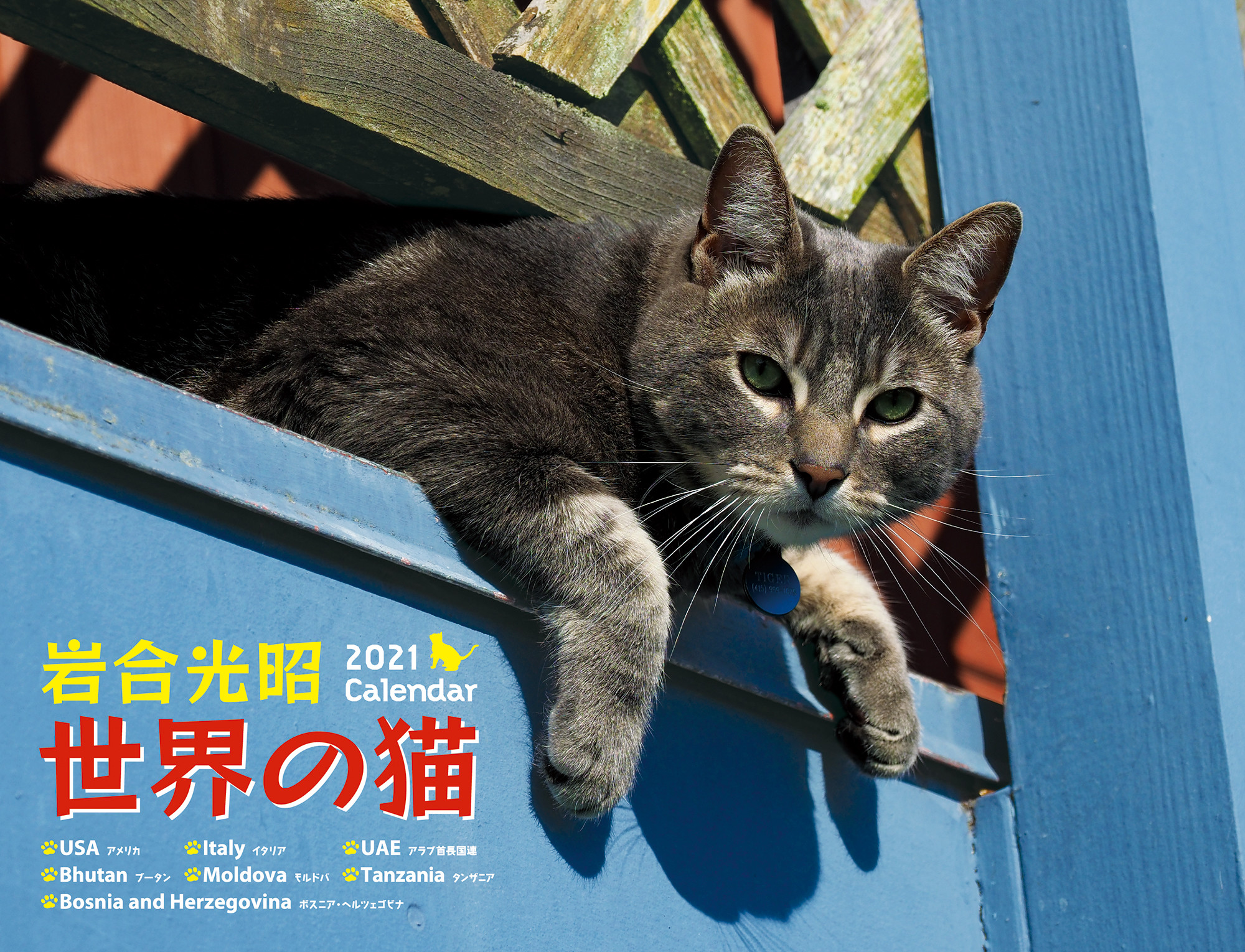 岩合光昭　世界の猫カレンダー　2021の商品画像