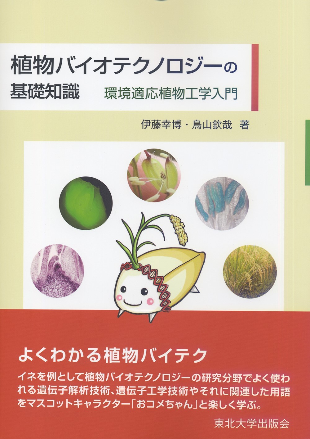 植物バイオテクノロジーの基礎知識の商品画像