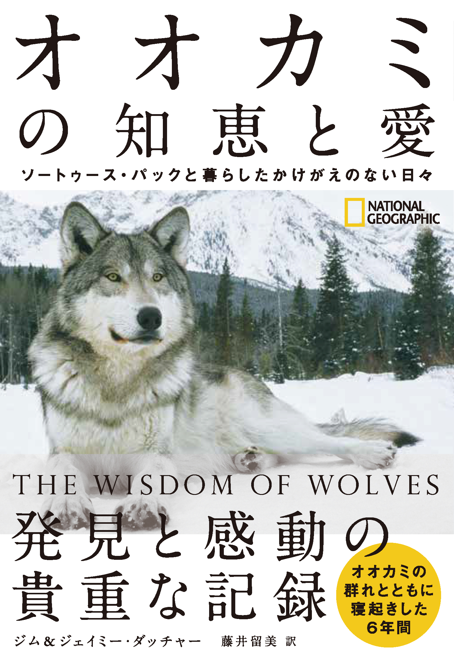 オオカミの知恵と愛の商品画像